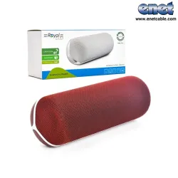اسپیکر بلوتوثی رم و فلش خور ROYAL-RSB919